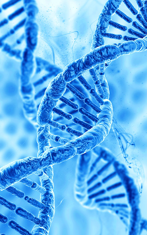 PDRN (polydeoxyribonukleotid)